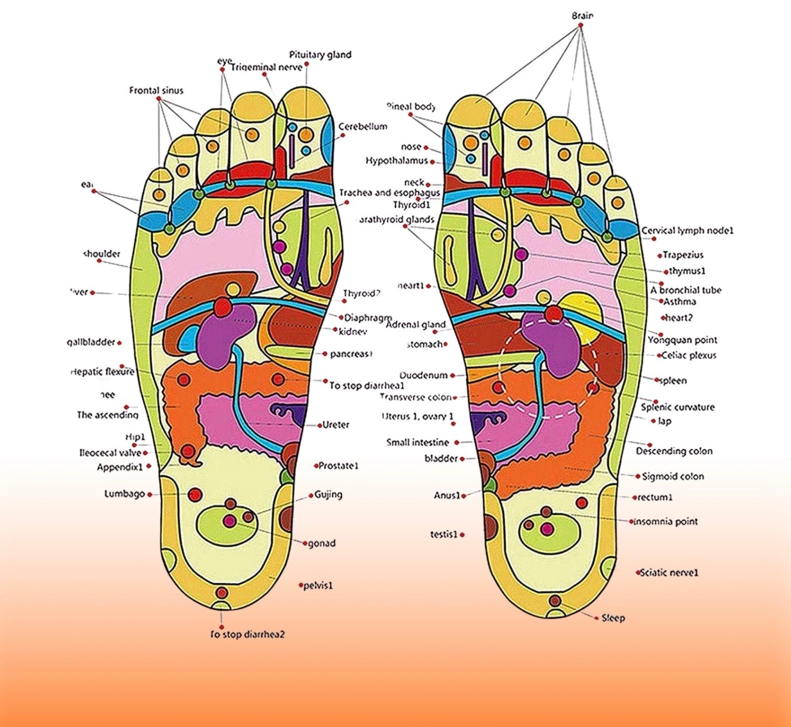 Spring Acupressure and Therapy SlippersQuickTechQuickTechSpring Acupressure and Magnetic Therapy Slippers QuickTech QuickTech